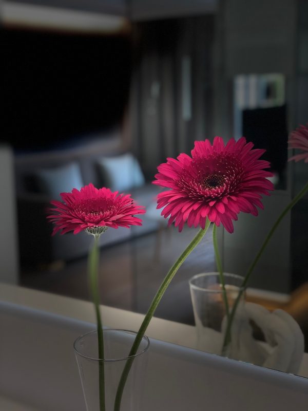 TARA SUITES MASPALOMAS