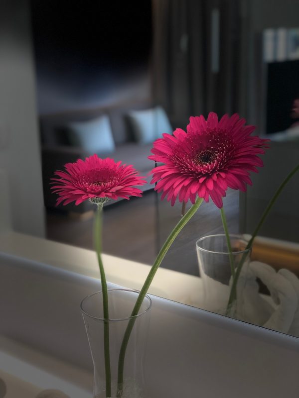 TARA SUITES MASPALOMAS